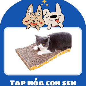 Bàn Cào Móng Mèo – Tạp Hóa Con Sen